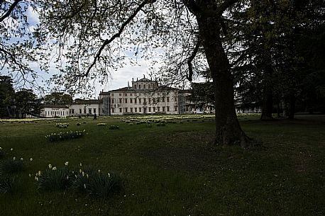 Villa Manin